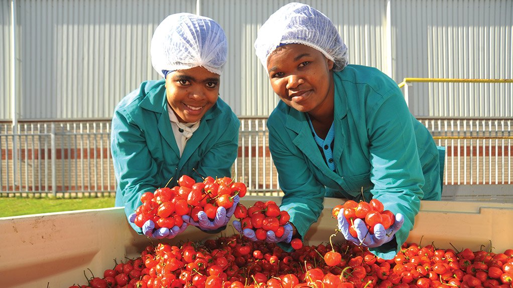 Sustainable Farming